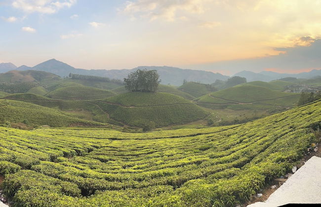 Hilltop Munnar by Fracspace - Foto 19
