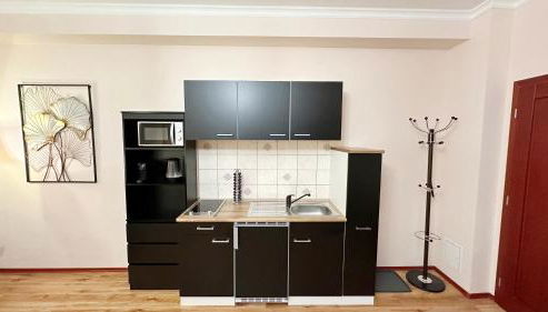 Quartier Victoria - Exklusives Souterrain-Studio am Goethepark mit Küche - Foto 5, stove, minibar