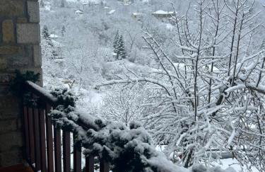 Πατρικό ολόκληρος ξενώνας entire stone guesthouse - Foto 49