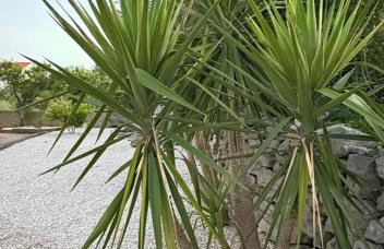 Marco Polo House - Foto 25