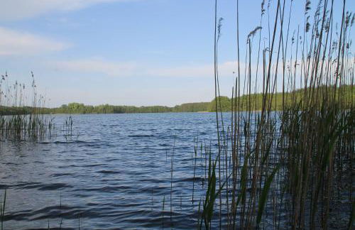 Alt Sammit - Foto 18