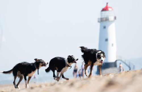 The Old Mill Holiday Cottages, Nr Mold - Foto 16