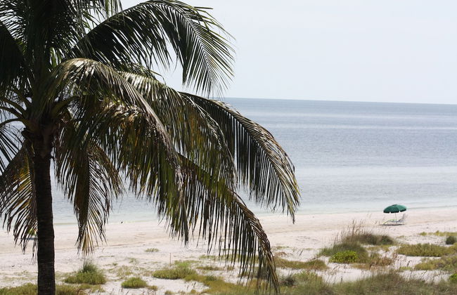 Ocean's Reach Condominiums - Foto 59