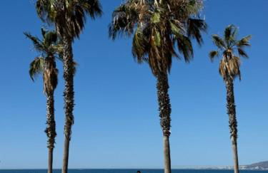 Apartamento La Biznaga - Photo 42