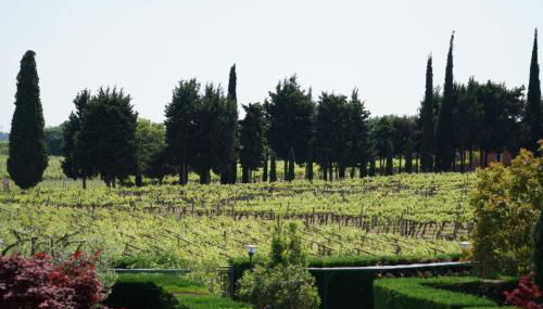 Dagi's Dolcevita Apartments - Foto 5