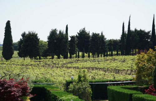 Dagi's Dolcevita Apartments - Foto 5