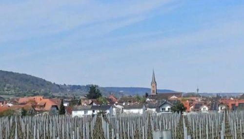 Pfalzzimmer - Foto 5