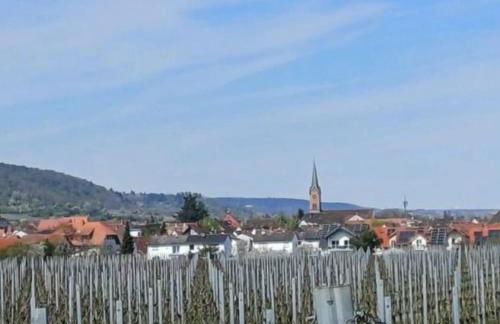 Pfalzzimmer - Foto 5