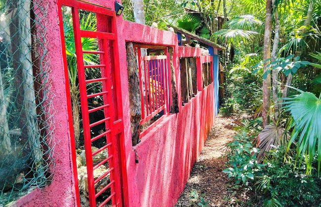 Hotel y Temazcal en Solferino - Foto 76