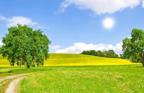 Nice Home In Krems Iiwarderbrück - Foto 29