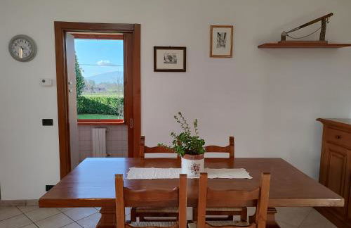 Villa Gaia Truffle Experience - Photo 9