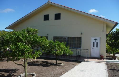 Quinta Manuel Santo - Photo 31