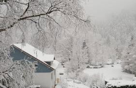 T'Choupette des Vosges - Foto 7