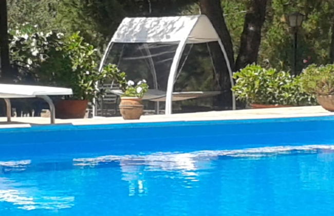 Agriturismo Al Poggetto - Photo 25