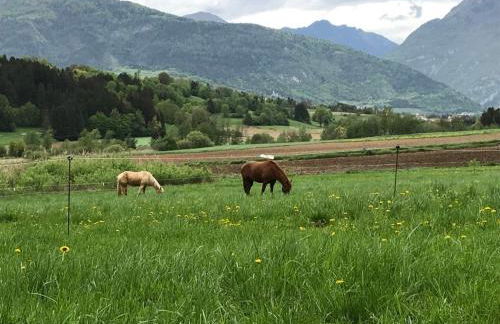 AGRITURISMO MASO PERTENER -adults friendly- - Foto 64