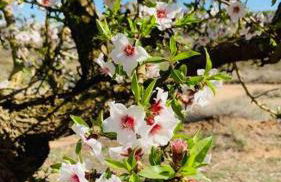 Casa típica aragonesa. - Foto 12