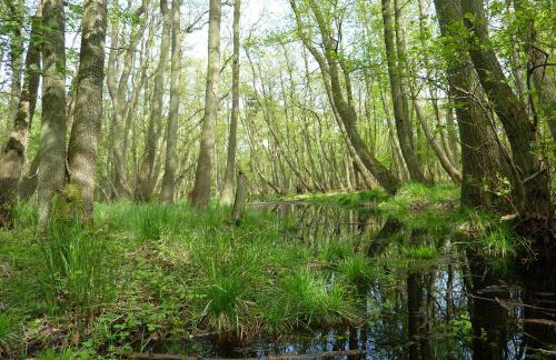 FeWo Käuzchen - Ulenhoef - Foto 8