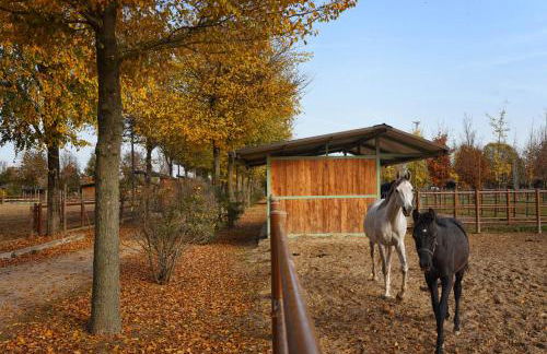 Agriturismo Corte Benetti - Foto 115