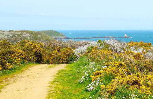 La clé des falaises Meublé de tourisme 3 étoiles avec petite vue mer et au bord du GR 34 - Foto 38
