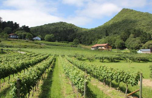 Eco Hotel Rural Angiz - Foto 66