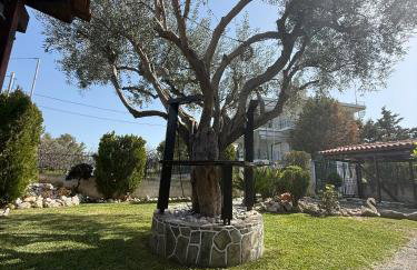 House with lake and water lilies - Foto 6