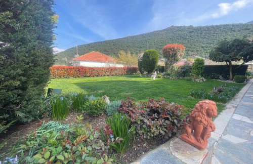 VILLA NIKOLETTA - Photo 6