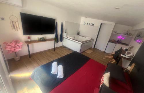 Love Room avec Balnéo 4 places & King Size - Foto 4