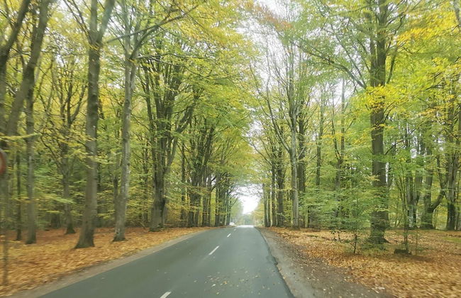 Luxury Retreat With Pool - By Traum Ferienwohnungen - Foto 8