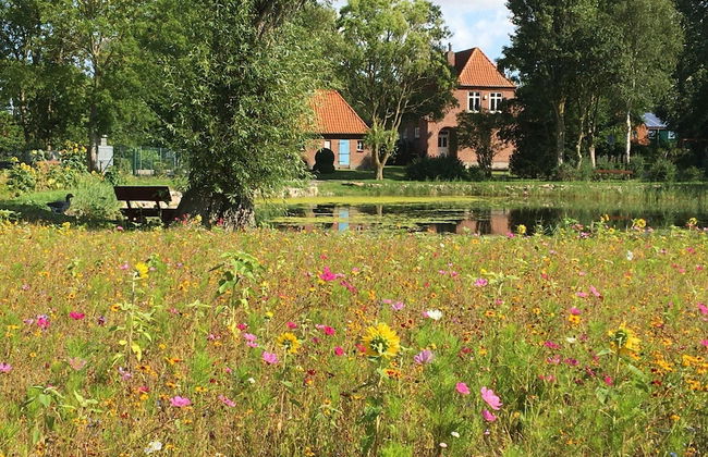 Ferienwohnung im Ferienhaus Rosi, Fehmarn-schlagsdorf - Foto 30