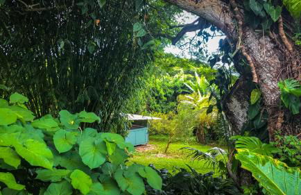 Gingerhill Farm Retreat - Foto 17