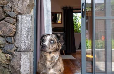 Casa Flor - Flower home - Foto 28