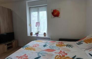 Appart'hôtel, IKIMO 5 appartements entiers à votre disposition au choix - Foto 75