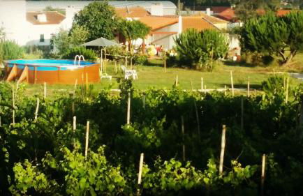 A Quinta da Estrelinha - Foto 12