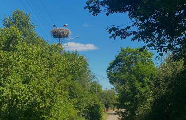 Ozierański Eden "Pod rzeźbami" - Photo 28