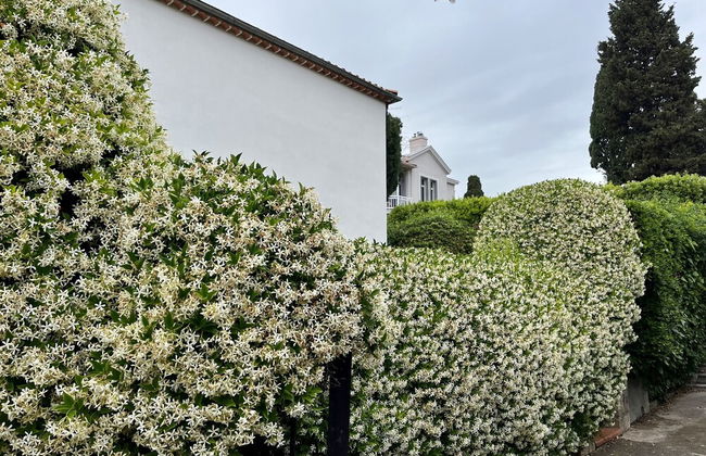 VILLA PALMIERS BY ESTATES CANNES - Foto 26