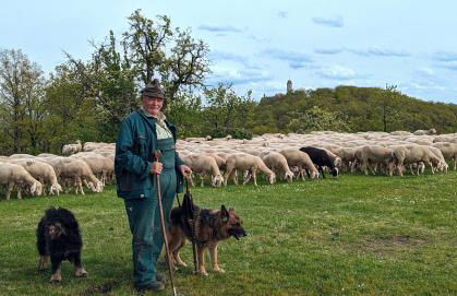 Casa De Campo Ladestation E - Auto neu renoviert - Foto 18