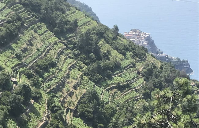 Agriturismo Un Angelo alla mia tavola - Foto 36