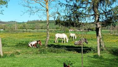 Mobilhome cosy au calme de la campagne - Photo 5