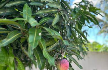 Casa Região Oceânica Niterói - Photo 9