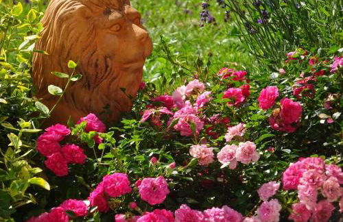 Holiday apartment with 2 bedrooms - Foto 26