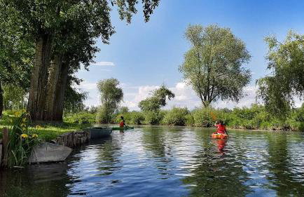 LEŚNA REZYDENCJa - Foto 79