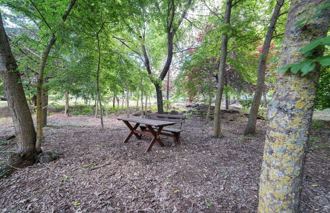 Il Castagno dell'Etna - Photo 23