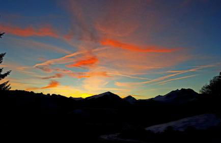 Mazot Hirondelle - Photo 29