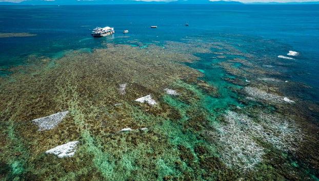 Outer Great Barrier Reef Cruise & Reef Magic Platform - Foto 5
