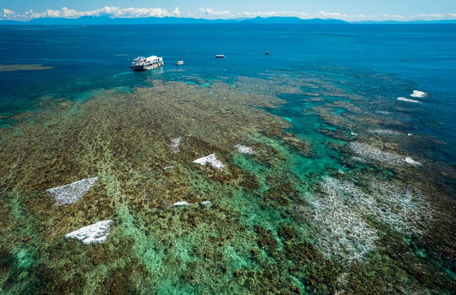 Excursión a la Gran Barrera de Coral y plataforma Reef Magic - Foto 5