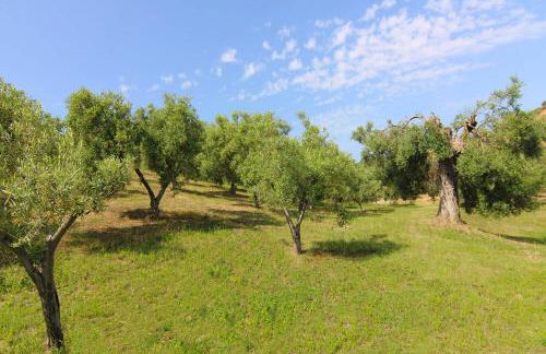 Agriturismo Vulcano - Foto 33