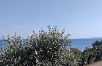 Δίπλα στο κύμα -Βeside the wave - Photo 16
