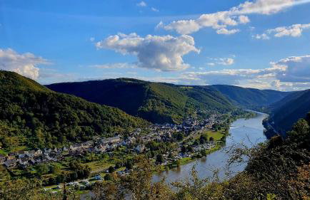 Ferienapartment Rebwinkel - Foto 22