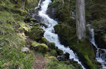 Gîte Les Plains Champs - Foto 15