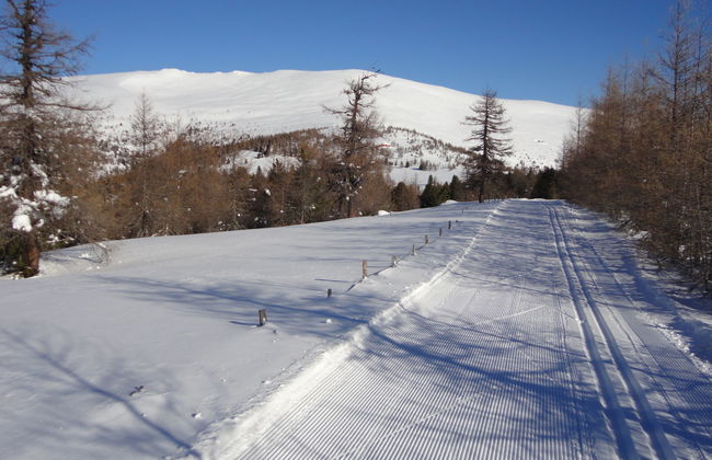 Chalet Amsel - Photo 16